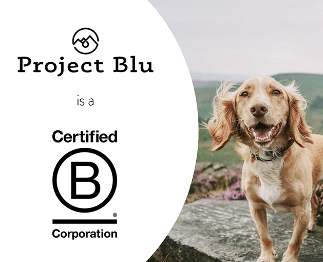 Project Blu Becomes B Corp Certified!