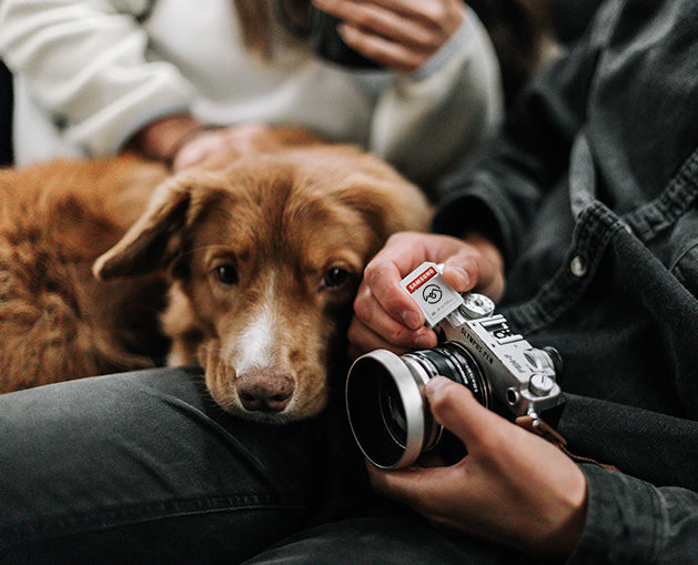 Sustainable Pet Photography Tips