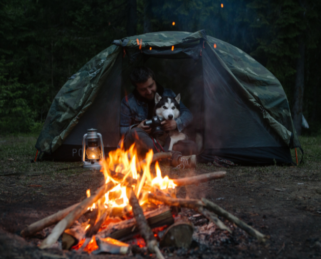 Camping with your dog: 7 things you need to consider before your trip