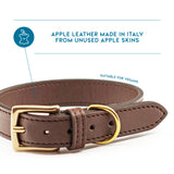 Lucca Dog Collar